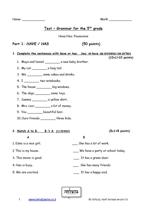 מבחן באנגלית לכיתה ה - Have / Has , Possessive - Exam 2
